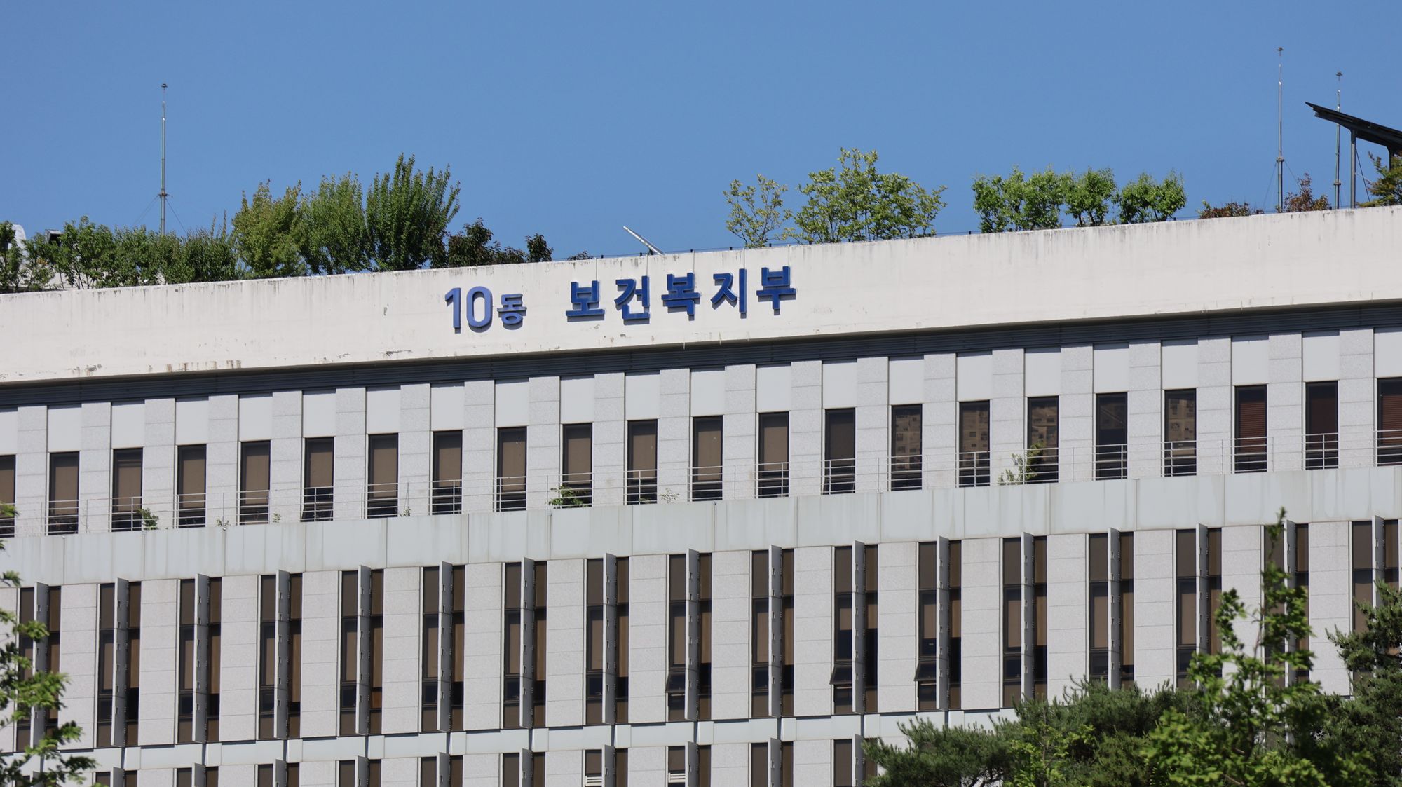 간세포암·림프종 '새 치료 길'…NK·CIK세포 연구 승인