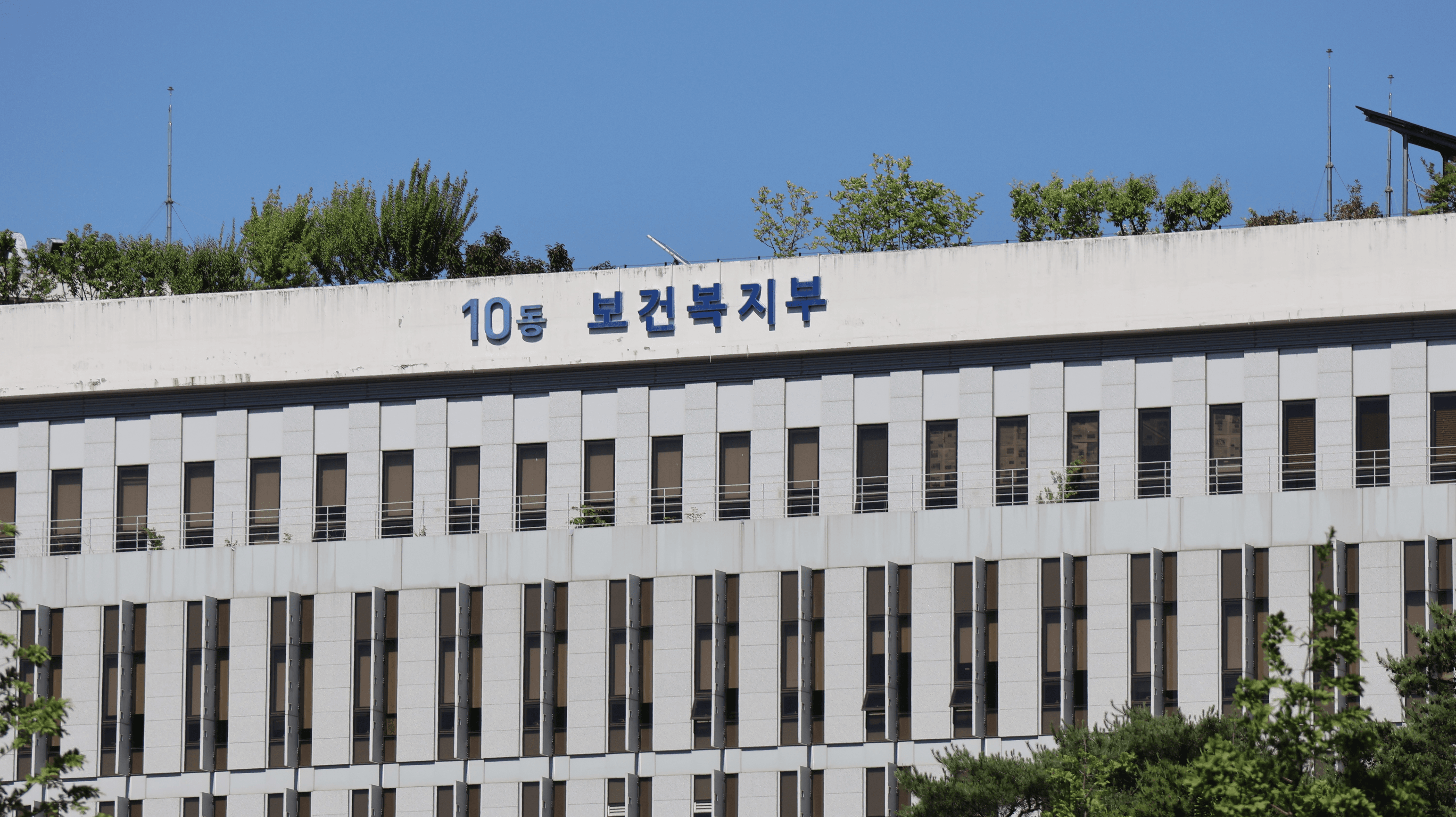 희귀·중증난치 본인부담 10→5% 인하…치아 없어도 임플란트