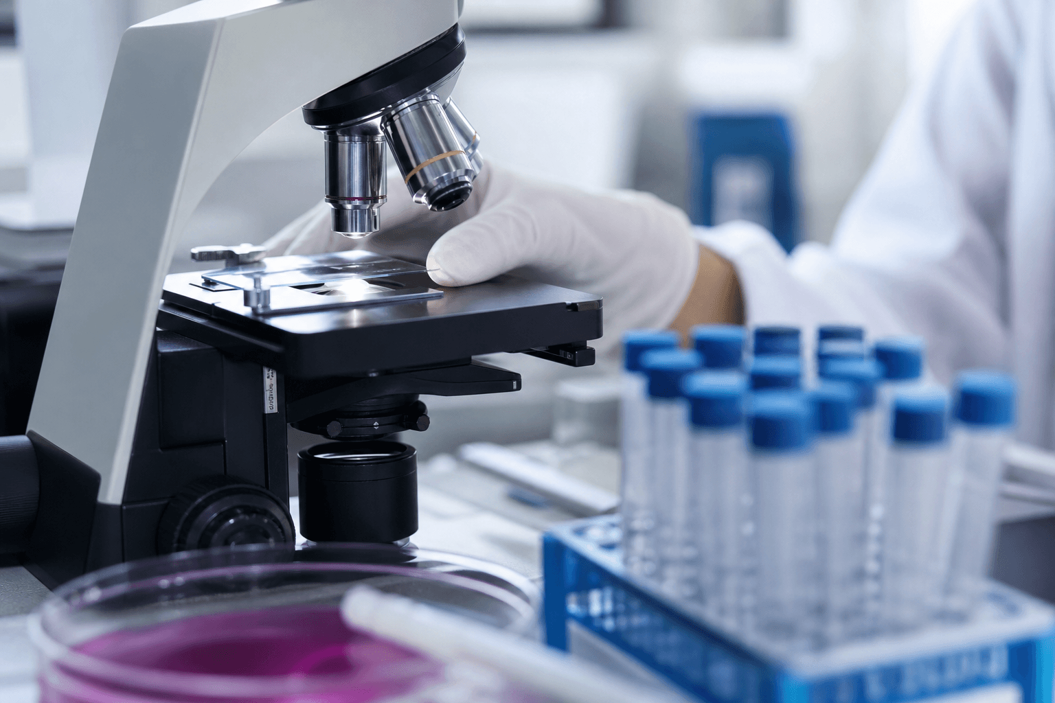 유사분열서 DNA 보호하는 새 인자 DDIAS 규명…BRCA 결함 암 표적 기대